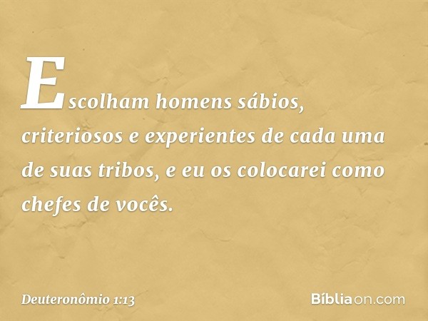 Escolham homens sábios, criteriosos e experientes de cada uma de suas tribos, e eu os colocarei como chefes de vocês. -- Deuteronômio 1:13