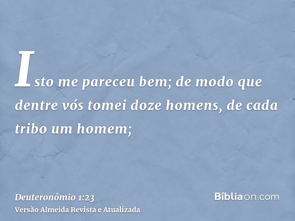 Isto me pareceu bem; de modo que dentre vós tomei doze homens, de cada tribo um homem;