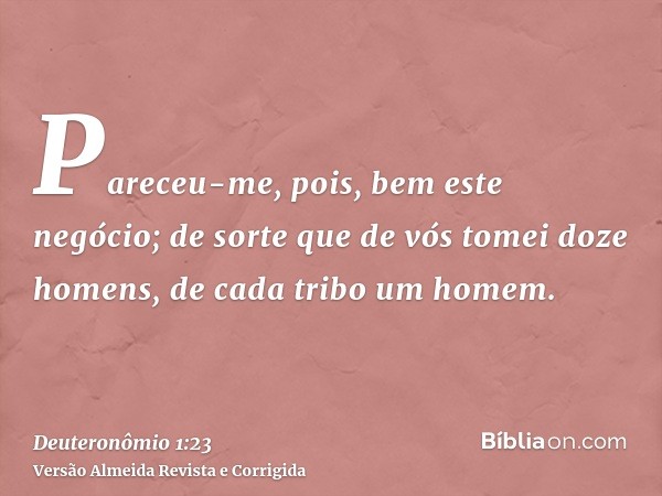Pareceu-me, pois, bem este negócio; de sorte que de vós tomei doze homens, de cada tribo um homem.