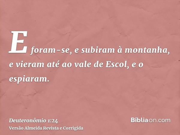 E foram-se, e subiram à montanha, e vieram até ao vale de Escol, e o espiaram.