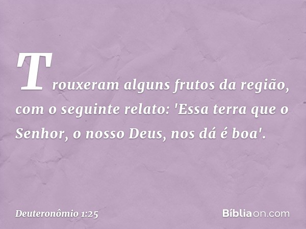 Trouxeram alguns frutos da região, com o seguinte relato: 'Essa terra que o Senhor, o nosso Deus, nos dá é boa'. -- Deuteronômio 1:25