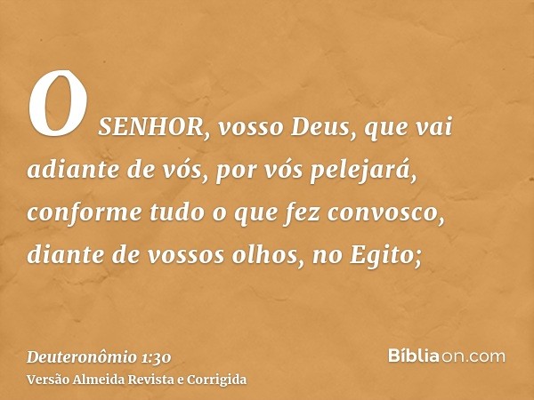O SENHOR, vosso Deus, que vai adiante de vós, por vós pelejará, conforme tudo o que fez convosco, diante de vossos olhos, no Egito;