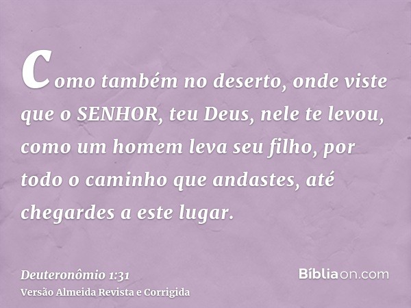 como também no deserto, onde viste que o SENHOR, teu Deus, nele te levou, como um homem leva seu filho, por todo o caminho que andastes, até chegardes a este lu