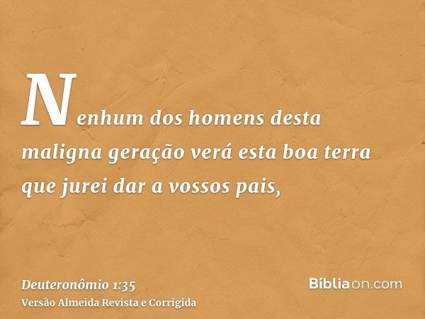 Nenhum dos homens desta maligna geração verá esta boa terra que jurei dar a vossos pais,