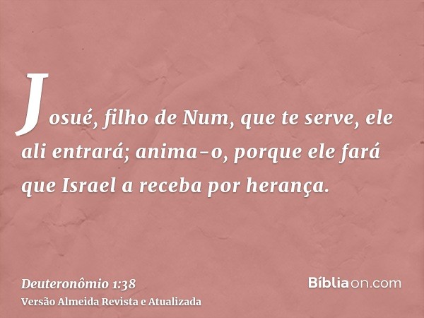 Josué, filho de Num, que te serve, ele ali entrará; anima-o, porque ele fará que Israel a receba por herança.