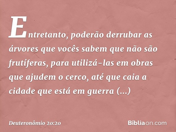 Entretanto, poderão derrubar as árvores que vocês sabem que não são frutíferas, para utilizá-las em obras que ajudem o cerco, até que caia a cidade que está em 