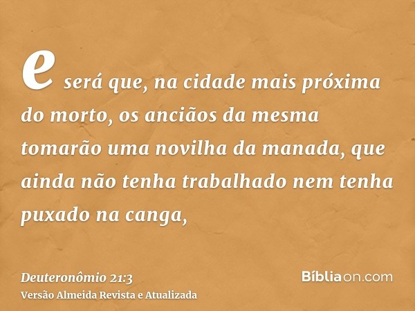 e será que, na cidade mais próxima do morto, os anciãos da mesma tomarão uma novilha da manada, que ainda não tenha trabalhado nem tenha puxado na canga,