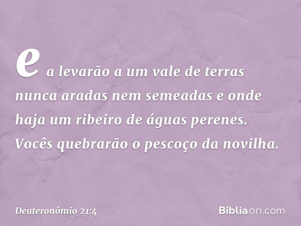 e a levarão a um vale de terras nunca aradas nem semeadas e onde haja um ribeiro de águas perenes. Vocês quebrarão o pescoço da novilha. -- Deuteronômio 21:4