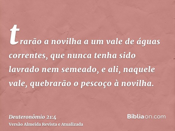 trarão a novilha a um vale de águas correntes, que nunca tenha sido lavrado nem semeado, e ali, naquele vale, quebrarão o pescoço à novilha.