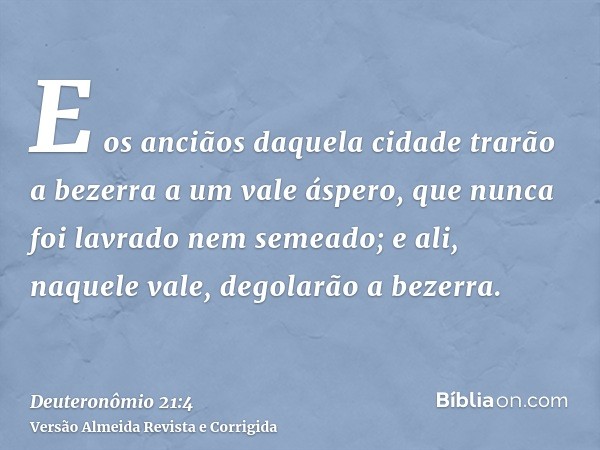 E os anciãos daquela cidade trarão a bezerra a um vale áspero, que nunca foi lavrado nem semeado; e ali, naquele vale, degolarão a bezerra.
