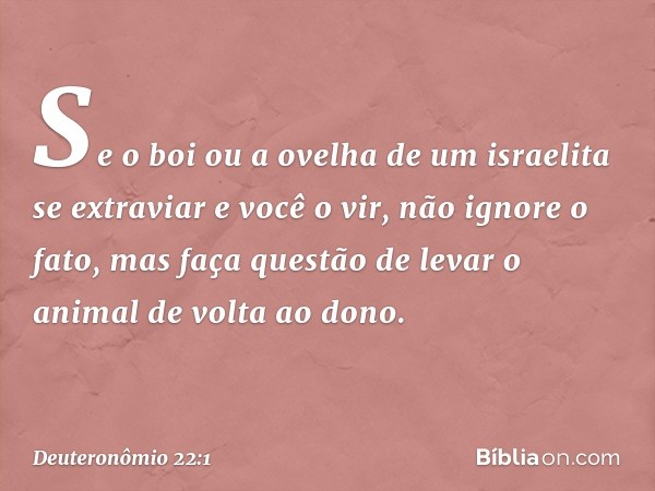 "Se o boi ou a ovelha de um israelita se extraviar e você o vir, não ignore o fato, mas faça questão de levar o animal de volta ao dono. -- Deuteronômio 22:1