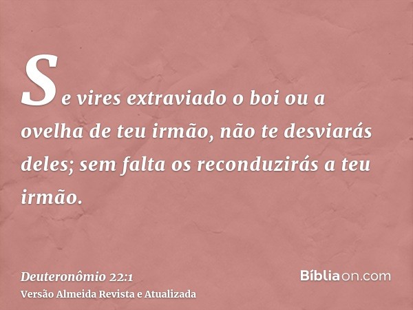 Se vires extraviado o boi ou a ovelha de teu irmão, não te desviarás deles; sem falta os reconduzirás a teu irmão.