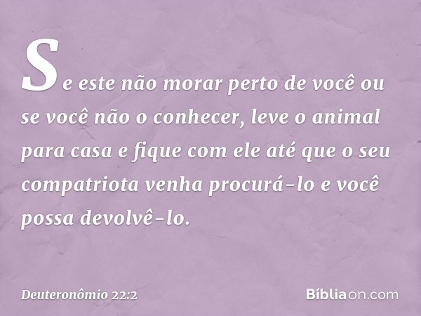 Se este não morar perto de você ou se você não o conhecer, leve o animal para casa e fique com ele até que o seu compatriota venha procurá-lo e você possa devol