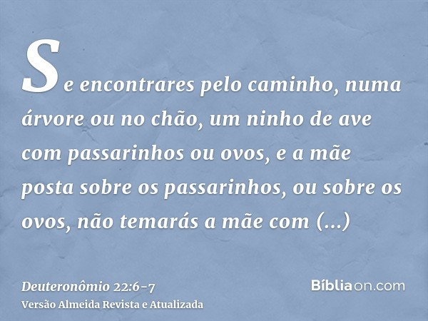 Se encontrares pelo caminho, numa árvore ou no chão, um ninho de ave com passarinhos ou ovos, e a mãe posta sobre os passarinhos, ou sobre os ovos, não temarás 