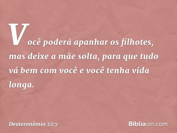 Você poderá apanhar os filhotes, mas deixe a mãe solta, para que tudo vá bem com você e você tenha vida longa. -- Deuteronômio 22:7