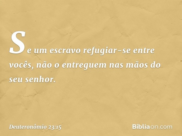 "Se um escravo refugiar-se entre vocês, não o entreguem nas mãos do seu senhor. -- Deuteronômio 23:15