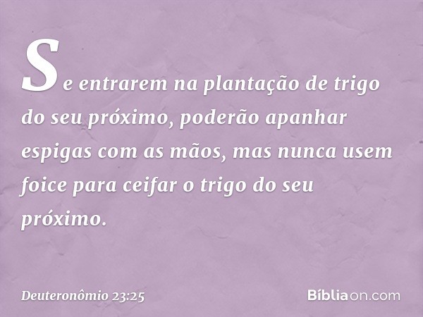 Se entrarem na plantação de trigo do seu próximo, poderão apanhar espigas com as mãos, mas nunca usem foice para ceifar o trigo do seu próximo. -- Deuteronômio 