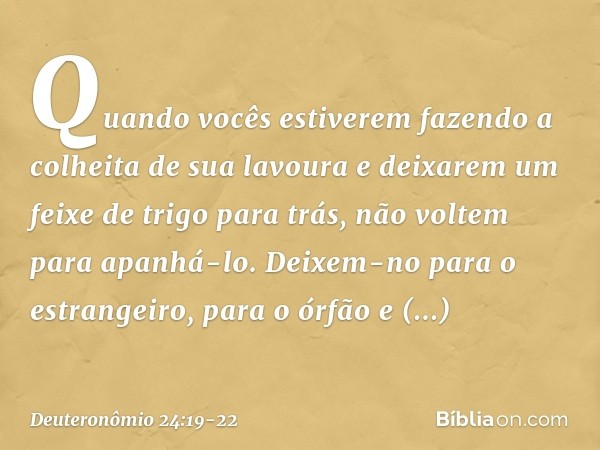 "Quando vocês estiverem fazendo a colheita de sua lavoura e deixarem um feixe de trigo para trás, não voltem para apanhá-lo. Deixem-no para o estrangeiro, para 