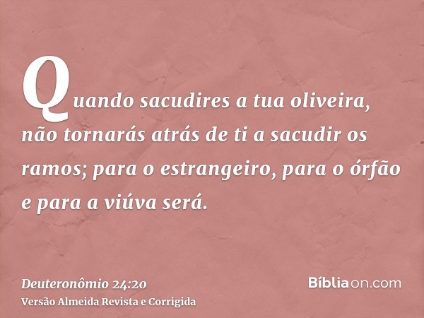 Quando sacudires a tua oliveira, não tornarás atrás de ti a sacudir os ramos; para o estrangeiro, para o órfão e para a viúva será.