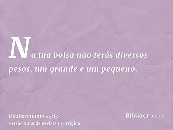 Na tua bolsa não terás diversos pesos, um grande e um pequeno.