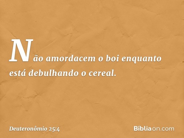 "Não amordacem o boi enquanto está debulhando o cereal. -- Deuteronômio 25:4