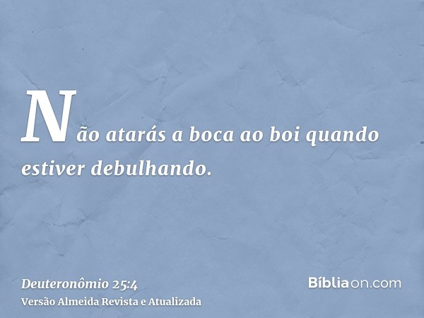 Não atarás a boca ao boi quando estiver debulhando.