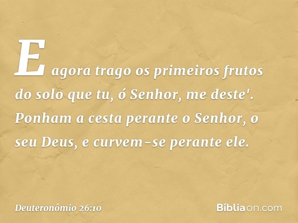 E agora trago os primeiros frutos do solo que tu, ó Senhor, me deste'. Ponham a cesta perante o Senhor, o seu Deus, e curvem-se perante ele. -- Deuteronômio 26: