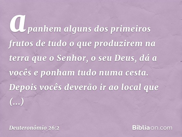 apanhem alguns dos primeiros frutos de tudo o que produzirem na terra que o Senhor, o seu Deus, dá a vocês e ponham tudo numa cesta. Depois vocês deverão ir ao 