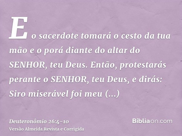 E o sacerdote tomará o cesto da tua mão e o porá diante do altar do SENHOR, teu Deus.Então, protestarás perante o SENHOR, teu Deus, e dirás: Siro miserável foi 