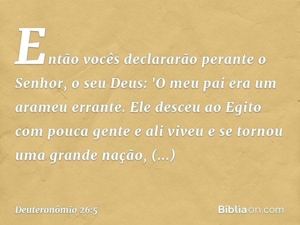 Então vocês declararão perante o Senhor, o seu Deus: 'O meu pai era um arameu errante. Ele desceu ao Egito com pouca gente e ali viveu e se tornou uma grande na