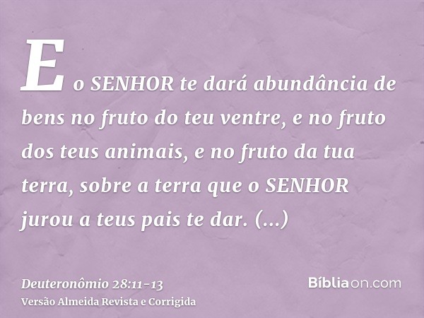 E o SENHOR te dará abundância de bens no fruto do teu ventre, e no fruto dos teus animais, e no fruto da tua terra, sobre a terra que o SENHOR jurou a teus pais