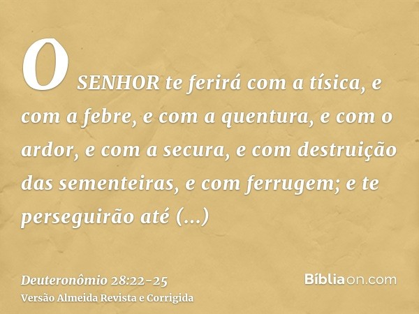 O SENHOR te ferirá com a tísica, e com a febre, e com a quentura, e com o ardor, e com a secura, e com destruição das sementeiras, e com ferrugem; e te persegui