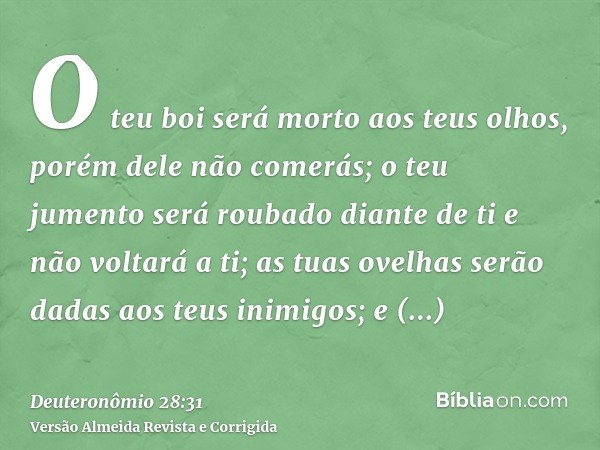 O teu boi será morto aos teus olhos, porém dele não comerás; o teu jumento será roubado diante de ti e não voltará a ti; as tuas ovelhas serão dadas aos teus in