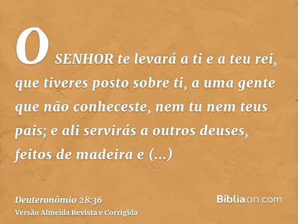 O SENHOR te levará a ti e a teu rei, que tiveres posto sobre ti, a uma gente que não conheceste, nem tu nem teus pais; e ali servirás a outros deuses, feitos de
