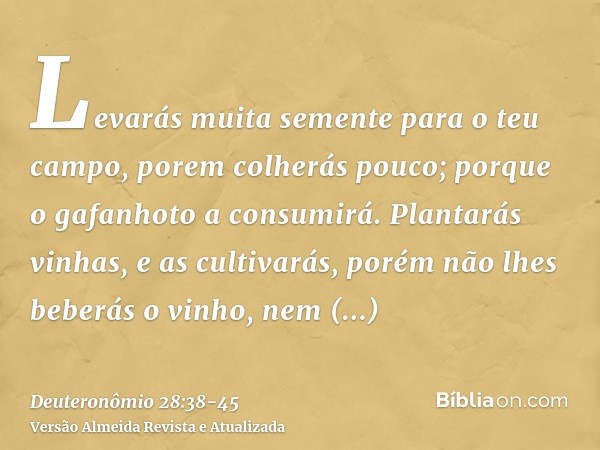 Levarás muita semente para o teu campo, porem colherás pouco; porque o gafanhoto a consumirá.Plantarás vinhas, e as cultivarás, porém não lhes beberás o vinho, 