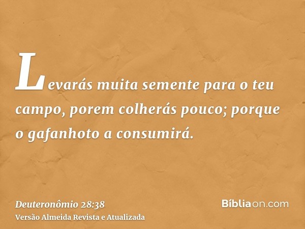 Levarás muita semente para o teu campo, porem colherás pouco; porque o gafanhoto a consumirá.