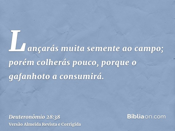 Lançarás muita semente ao campo; porém colherás pouco, porque o gafanhoto a consumirá.