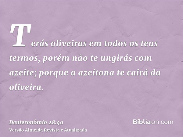 Terás oliveiras em todos os teus termos, porém não te ungirás com azeite; porque a azeitona te cairá da oliveira.