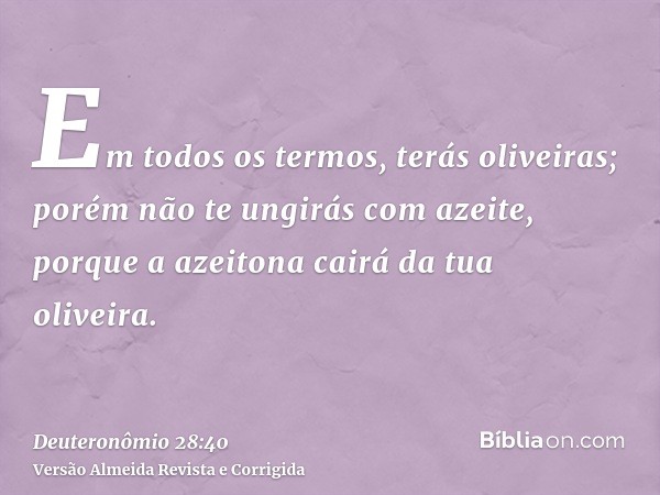 Em todos os termos, terás oliveiras; porém não te ungirás com azeite, porque a azeitona cairá da tua oliveira.