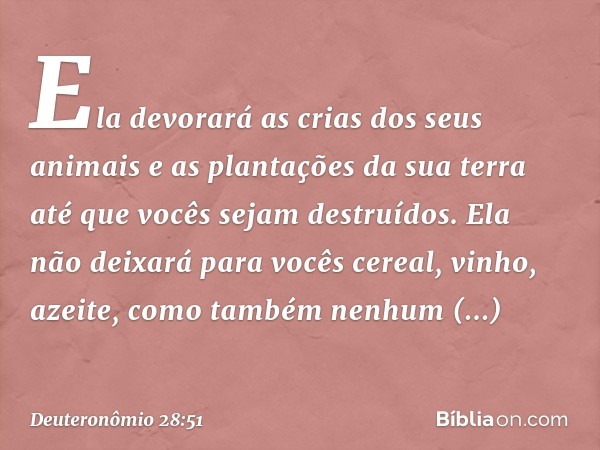 Ela devorará as crias dos seus animais e as plantações da sua terra até que vocês sejam destruídos. Ela não deixará para vocês cereal, vinho, azeite, como també