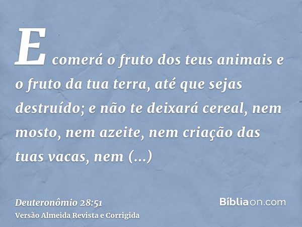 E comerá o fruto dos teus animais e o fruto da tua terra, até que sejas destruído; e não te deixará cereal, nem mosto, nem azeite, nem criação das tuas vacas, n