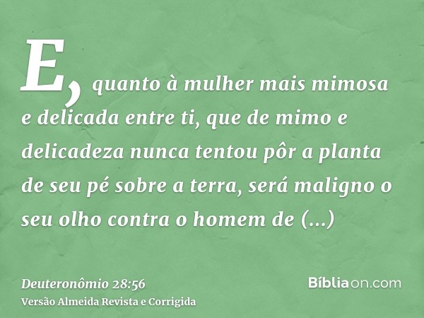 E, quanto à mulher mais mimosa e delicada entre ti, que de mimo e delicadeza nunca tentou pôr a planta de seu pé sobre a terra, será maligno o seu olho contra o