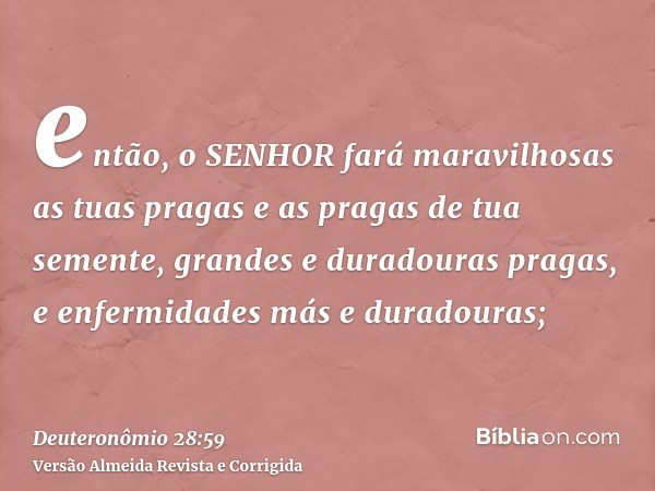 então, o SENHOR fará maravilhosas as tuas pragas e as pragas de tua semente, grandes e duradouras pragas, e enfermidades más e duradouras;