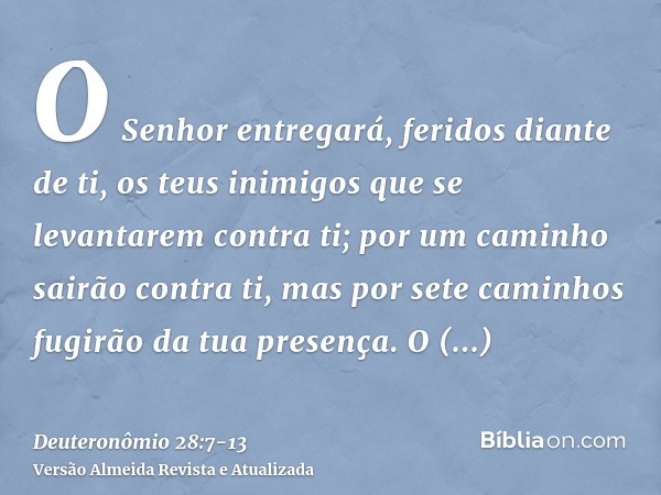 O Senhor entregará, feridos diante de ti, os teus inimigos que se levantarem contra ti; por um caminho sairão contra ti, mas por sete caminhos fugirão da tua pr