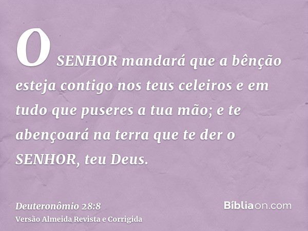 O SENHOR mandará que a bênção esteja contigo nos teus celeiros e em tudo que puseres a tua mão; e te abençoará na terra que te der o SENHOR, teu Deus.