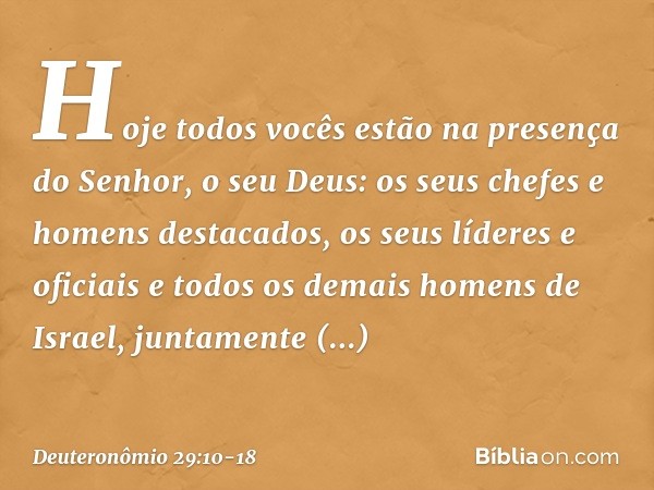 Hoje todos vocês estão na presença do Senhor, o seu Deus: os seus chefes e homens destacados, os seus líderes e oficiais e todos os demais homens de Israel, jun