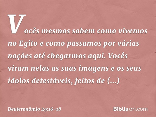 "Vocês mesmos sabem como vivemos no Egito e como passamos por várias nações até chegarmos aqui. Vocês viram nelas as suas imagens e os seus ídolos detestáveis, 