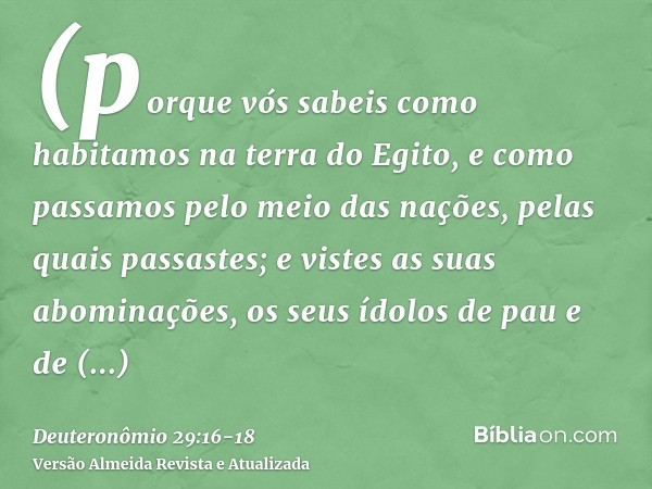 (porque vós sabeis como habitamos na terra do Egito, e como passamos pelo meio das nações, pelas quais passastes;e vistes as suas abominações, os seus ídolos de