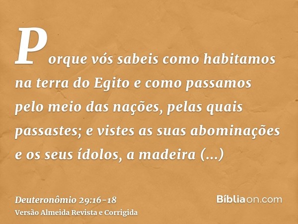 Porque vós sabeis como habitamos na terra do Egito e como passamos pelo meio das nações, pelas quais passastes;e vistes as suas abominações e os seus ídolos, a 
