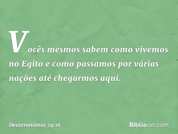 "Vocês mesmos sabem como vivemos no Egito e como passamos por várias nações até chegarmos aqui. -- Deuteronômio 29:16